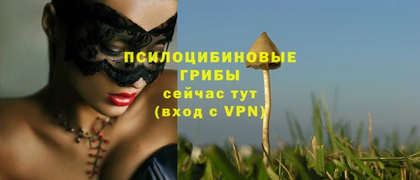 ALPHA PVP Заволжье