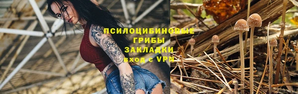 первитин Бикин