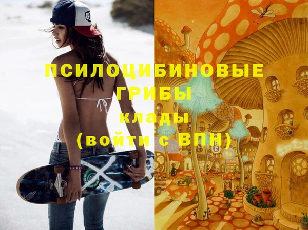 первитин Бикин