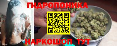 прущая мука Лесосибирск