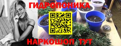 прущая мука Лесосибирск