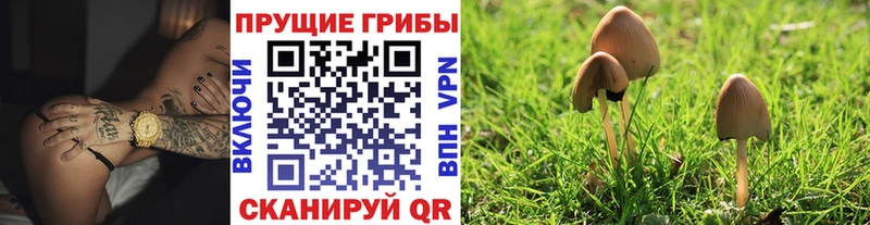 Галлюциногенные грибы мухоморы  продажа наркотиков  kraken   Каменка 