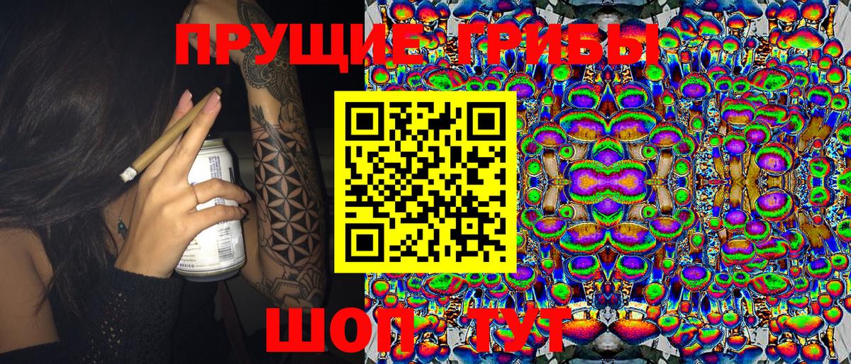 Псилоцибиновые грибы Magic Shrooms Каменка